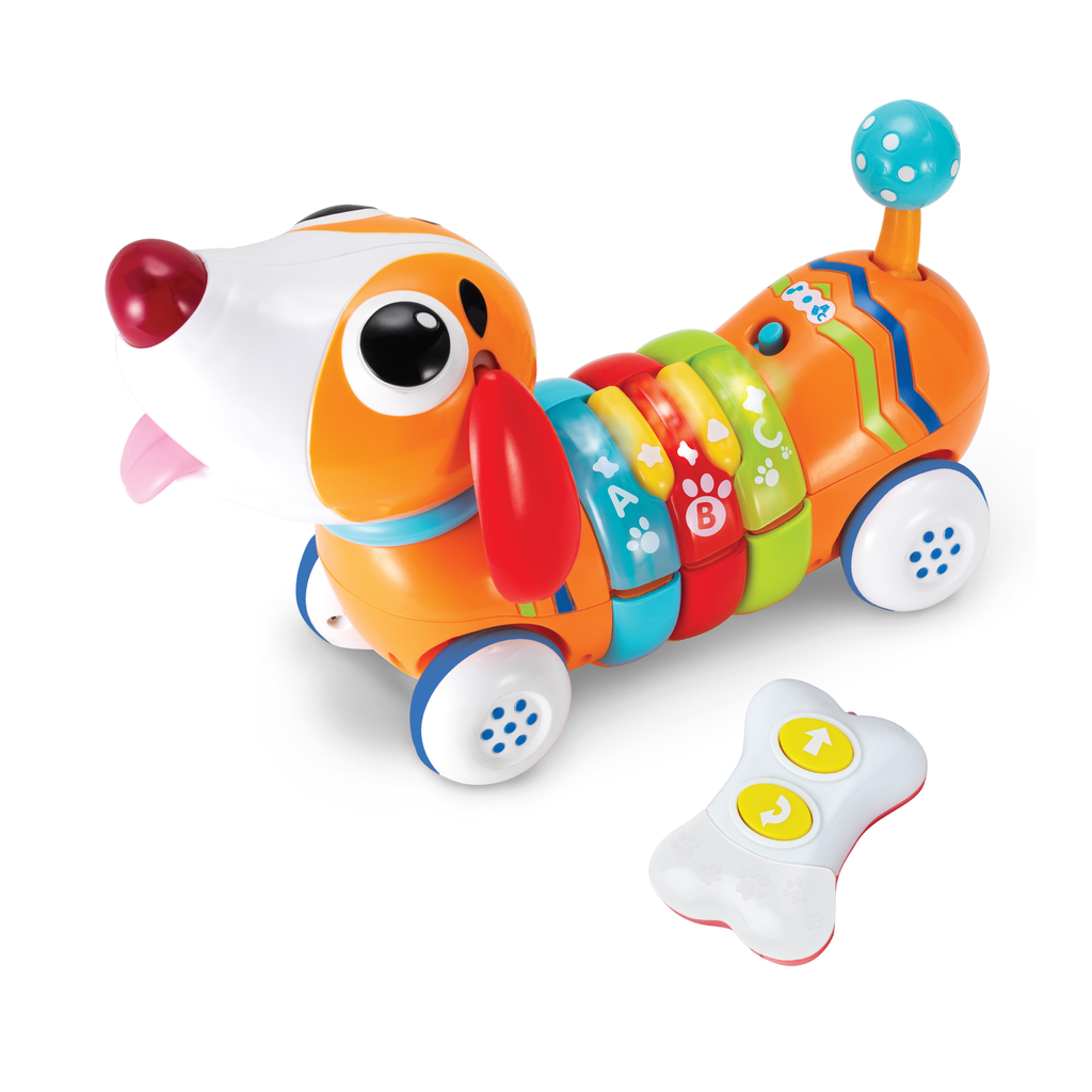 WINFUN R/C Regenboogpup