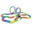 Loop & light race track