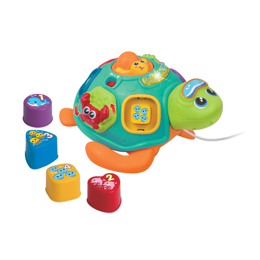 [240301-NL] WINFUN Pull Along Sort 'N Learn Turtle